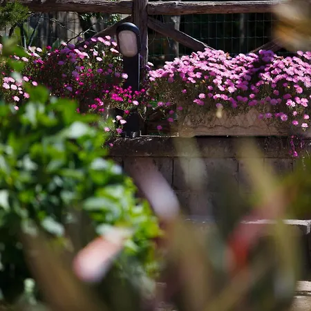 Eugenia * Sant'Agnello